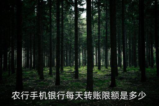 农行手机银行每天转账限额是多少