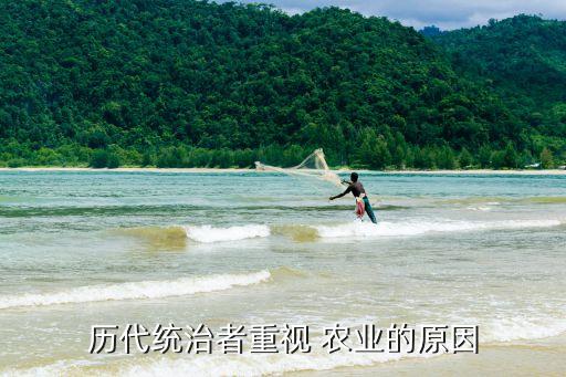 历代统治者重视 农业的原因