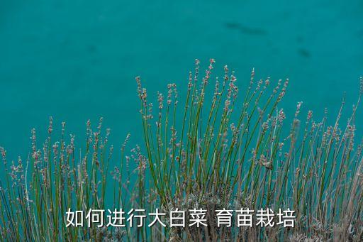 农业种植怎么育苗