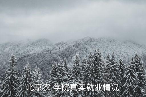农业学院毕不了业怎么办