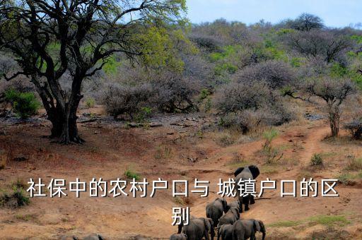 社保农业和城镇怎么区分,单位买社保需要区分城镇和农村吗