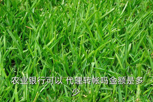 农业银行代理业务包括什么,政府采购代理业务包括什么