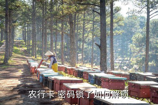 农业银行怎么锁密码支付,手机农业银行支付密码怎么改