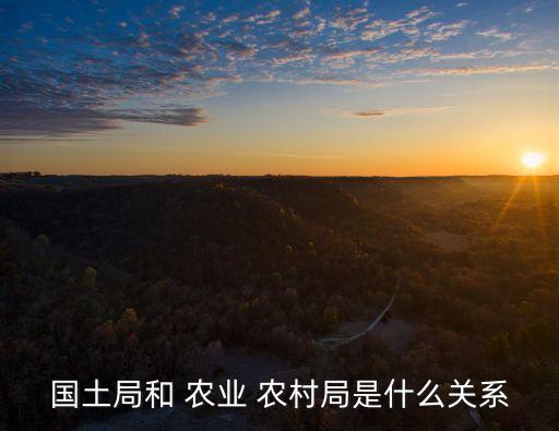 农业农村局来历怎么写