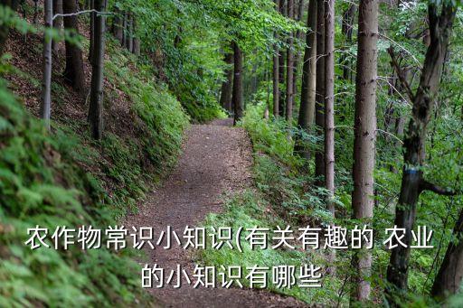 种植农业笔记怎么写好