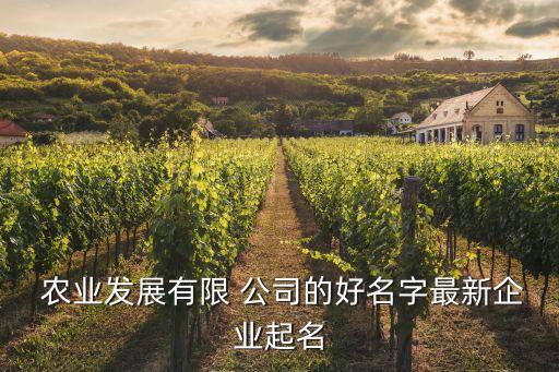  农业发展有限 公司的好名字最新企业起名