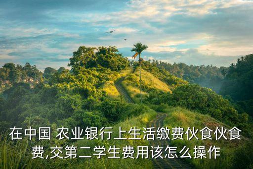 农业银行窝囊费怎么交费