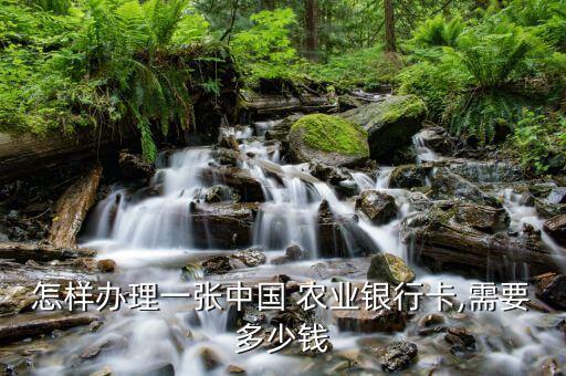 农业银行怎么办卡流程,去农业银行办卡流程