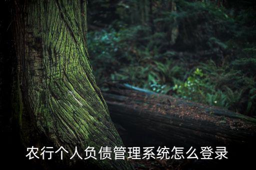 农业银行个人怎么登陆