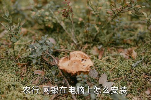 怎么下载农业企业网银,农业企业网银用户名是什么