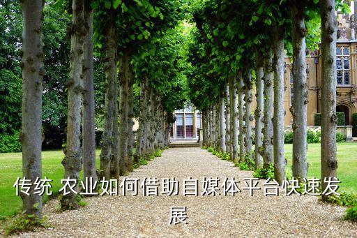 拍段视频怎么讲农业技术