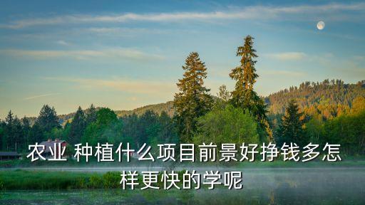 种植农业的怎么聊天,农业种植名字大全