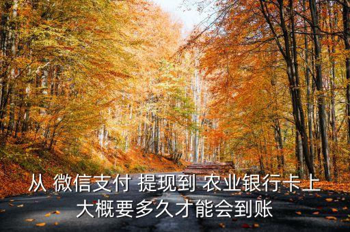 怎么从微信提现到农业银行