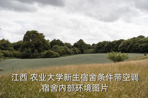 江西农业大学洗澡怎么洗