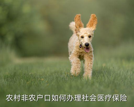 非农业户怎么办医保