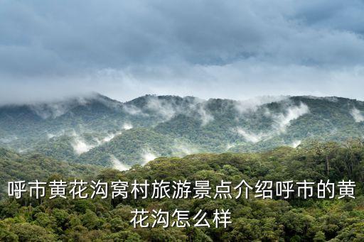 锡泊河农业怎么样