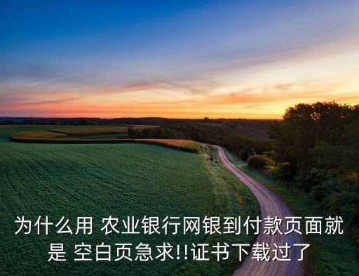 农业银行界面怎么空白