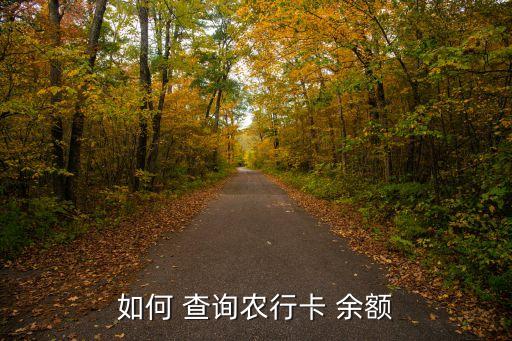 农业银联卡余额查询怎么查,银联卡余额查询手机怎么查