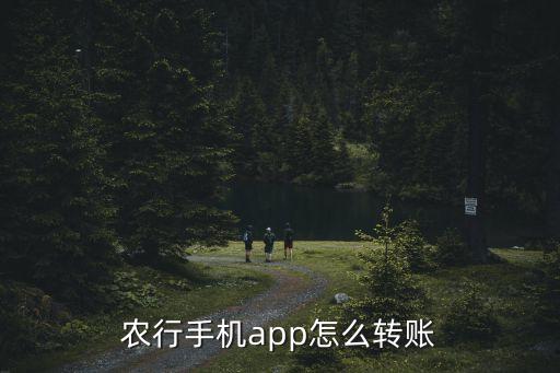 农业银行掌银怎么转帐