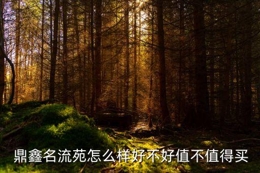 鼎鑫农业怎么样,鼎鑫投资公司怎么样