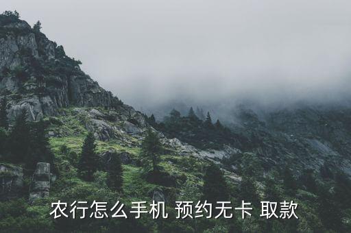 对公农业银行怎么预约取款,农业银行取款10万以上需要预约吗?