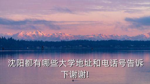 沈阳农业大学怎么插卡