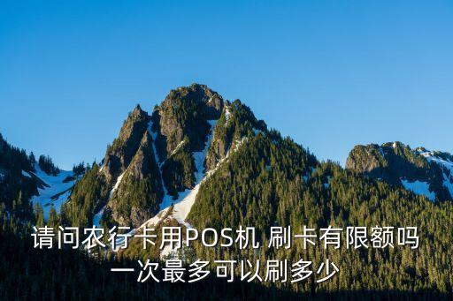 农业银行怎么刷卡缴费金额