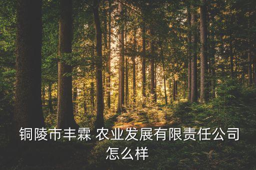 铜陵义安农业怎么样啊