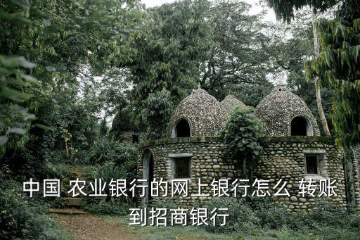 农业个人网银怎么转账,个人网银转账限额最高多少
