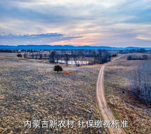 内蒙古农业户社保怎么上,河北的户能在内蒙古交社保吗