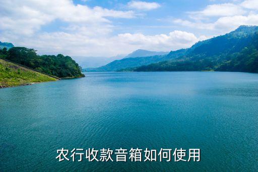 农业银行app声音大怎么设置,怎么下载农业银行APP