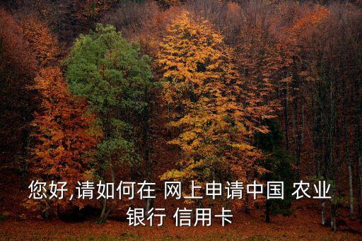 农业信用卡怎么在网上办理,农业银行信用卡