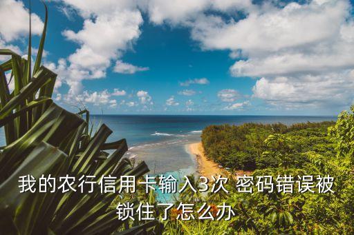 农业密码错误三次怎么解决