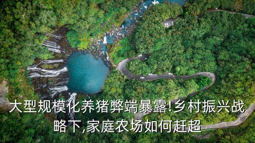 大规模农业前景怎么样,vr和农业的前景怎么样