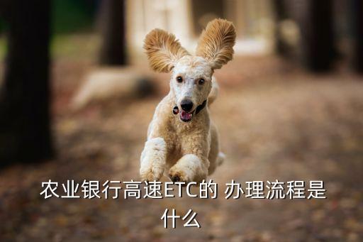 农业etc网上怎么办理,农业银行卡怎么办理ETC