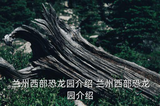 兰州新区现代农业怎么样