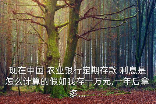 农业银行怎么有利息拿啊,20万存农业银行一年利息是多少
