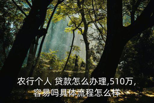 农业银行贷款怎么最快,怎么去农业银行贷款