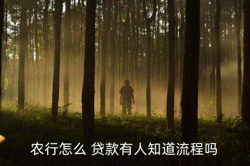 农业银行怎么才能贷款吗,当地农业银行怎么贷款