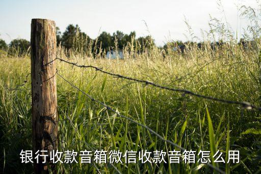 农业银行小音响怎么放歌