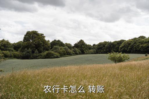 手机农业银行网银怎么转账,农业银行网银转账限额是多少