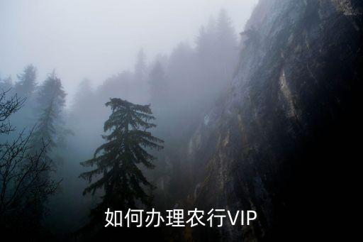 怎么变农业银行的vip,农业银行定期存款利率会变吗