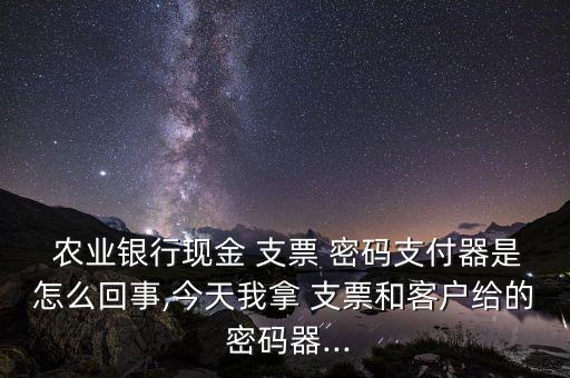 农业银行支票密码怎么填写,支票上的密码怎么填写
