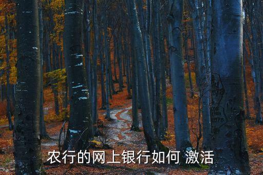 换手机后农业银行怎么激活,农业银行app怎么换手机登录