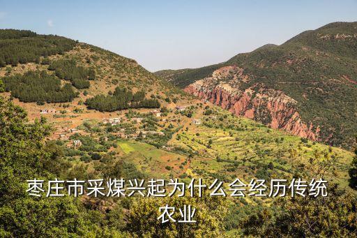 枣庄农业行业怎么样啊,枣庄航天农业牡丹园怎么样