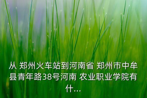 郑州农业附中怎么坐车