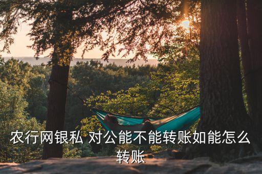 农业银行怎么对公发工资,公司用农业银行发工资