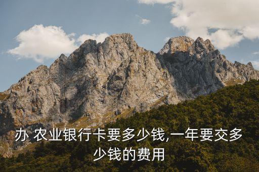 宁乡农业银行怎么收费,宁乡市农业银行有哪些支行