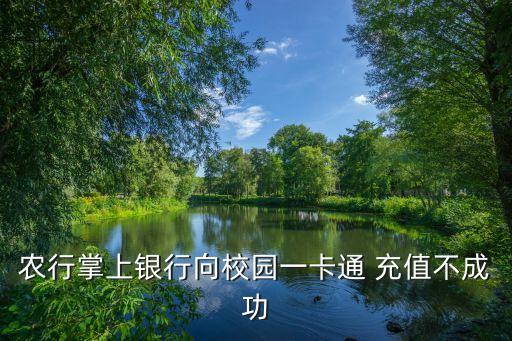 农业银行app怎么充值饭卡