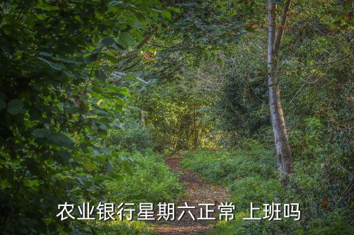 袁华农业公司怎么样上班